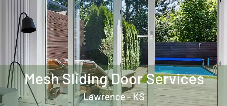  Mesh Sliding Door Services Lawrence - KS